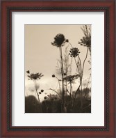 Framed Queen Anne Silhouettes