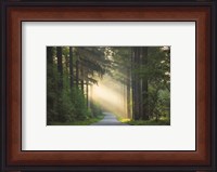 Framed Road