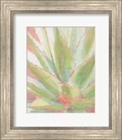 Framed Succulent Bloom 1