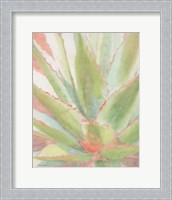 Framed Succulent Bloom 1