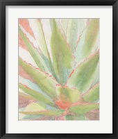 Succulent Bloom 1 Framed Print