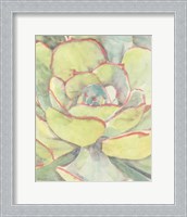 Framed Succulent Bloom 2