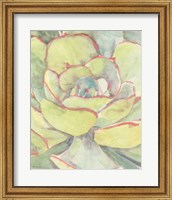 Framed 'Succulent Bloom 2' border=