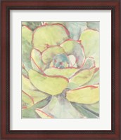 Framed Succulent Bloom 2