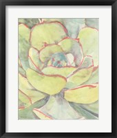 Succulent Bloom 2 Framed Print