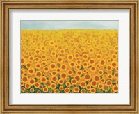 Framed Field of Sunflowers