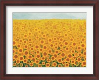 Framed Field of Sunflowers