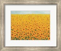 Framed Field of Sunflowers