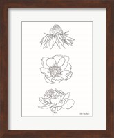 Framed Hand Drawn Flowers