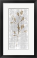 Botanical Stem 2 Framed Print