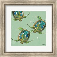 Framed Sea Turtles