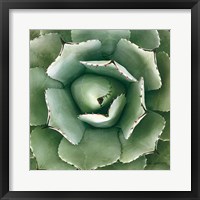 Framed Cactus Verde II Green