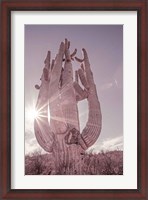 Framed Dusty Desert Saguaro