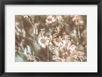 Framed Flower Power