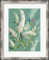 Framed Hummingbird Spring II