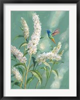 Framed Hummingbird Spring II