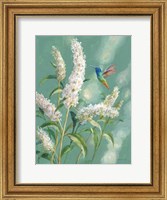 Framed Hummingbird Spring II