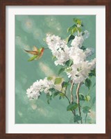 Framed Hummingbird Spring I