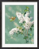 Framed Hummingbird Spring I