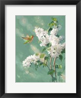 Framed Hummingbird Spring I