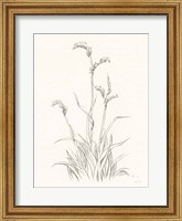 Framed Farm Nostalgia Flowers V Dark Gray