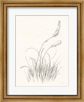 Framed Farm Nostalgia Flowers IV Dark Gray