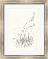 Framed Farm Nostalgia Flowers IV Dark Gray