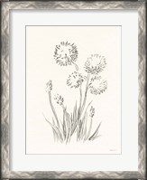 Framed Farm Nostalgia Flowers II Dark Gray