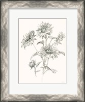 Framed Farm Nostalgia Flowers I Dark Gray