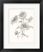 Framed Farm Nostalgia Flowers I Dark Gray