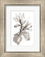 Framed Magnolia I