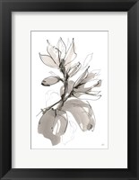 Framed Magnolia I