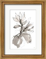 Framed Magnolia I