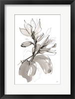 Magnolia I Framed Print