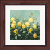 Framed Lemon Grove II