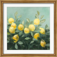 Framed Lemon Grove II