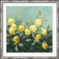 Framed Lemon Grove II