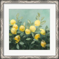 Framed Lemon Grove II