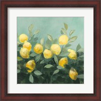 Framed Lemon Grove II