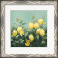 Framed Lemon Grove I