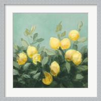Framed Lemon Grove I