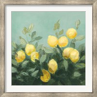 Framed Lemon Grove I