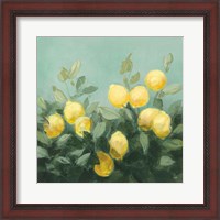 Framed Lemon Grove I