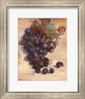 Framed Grape Harvest III No Label
