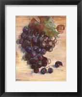Grape Harvest III No Label Framed Print