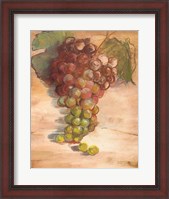 Framed Grape Harvest II No Label