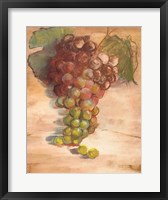 Framed Grape Harvest II No Label