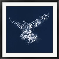 Framed Flying Silhouette