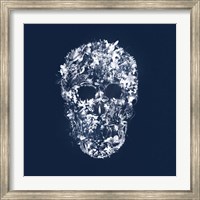 Framed Skull Silhouette