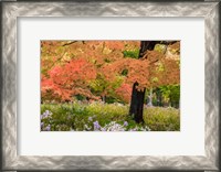 Framed Autumn Splendor